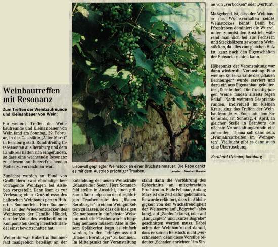 Pressebeitrag MZ